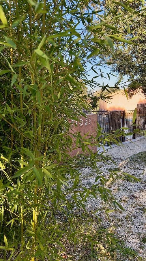 La Rose Des Vents Chambres D'Hotes & Spa Néoules Kültér fotó